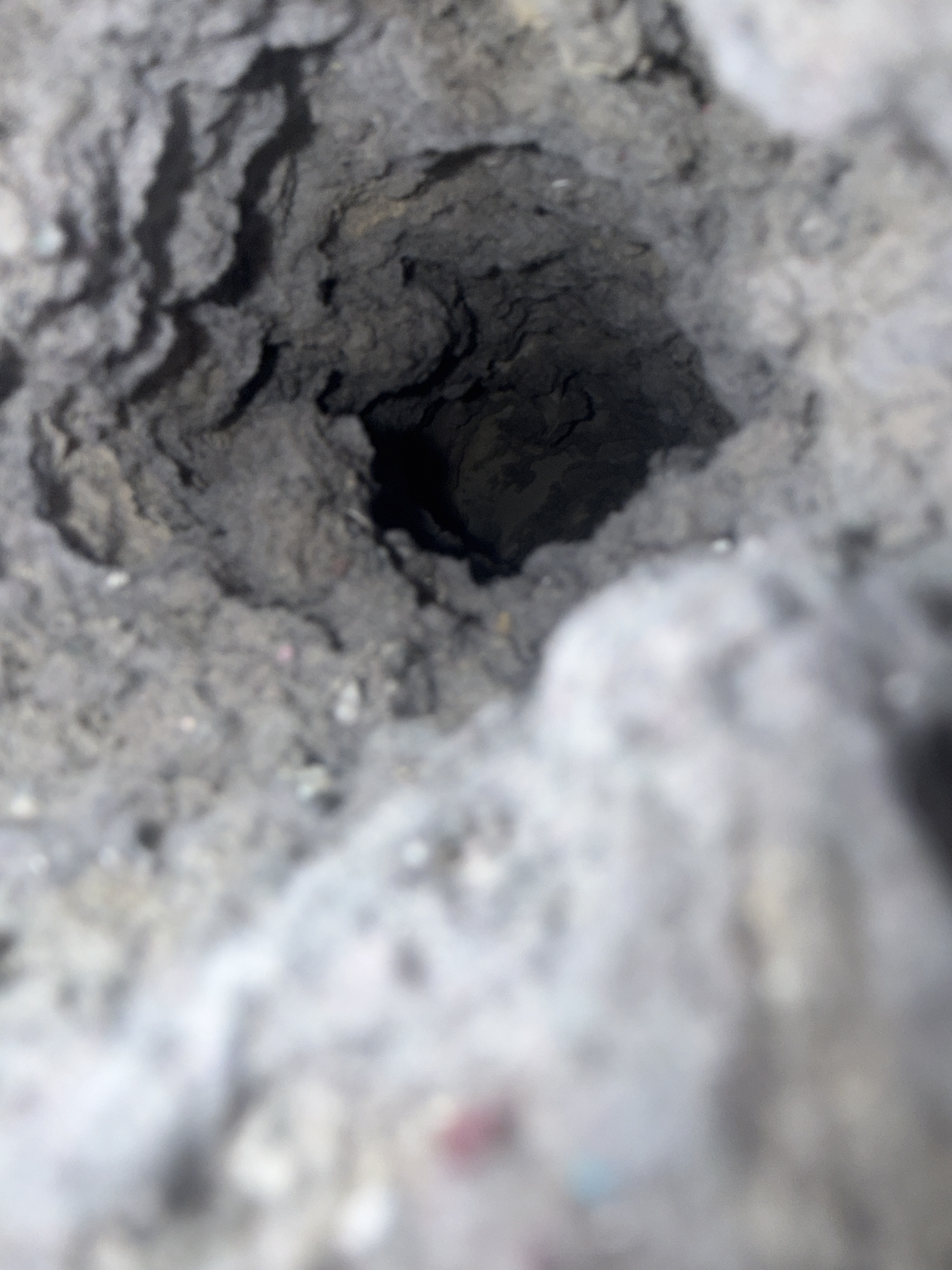 Clogged dryer vent cleared