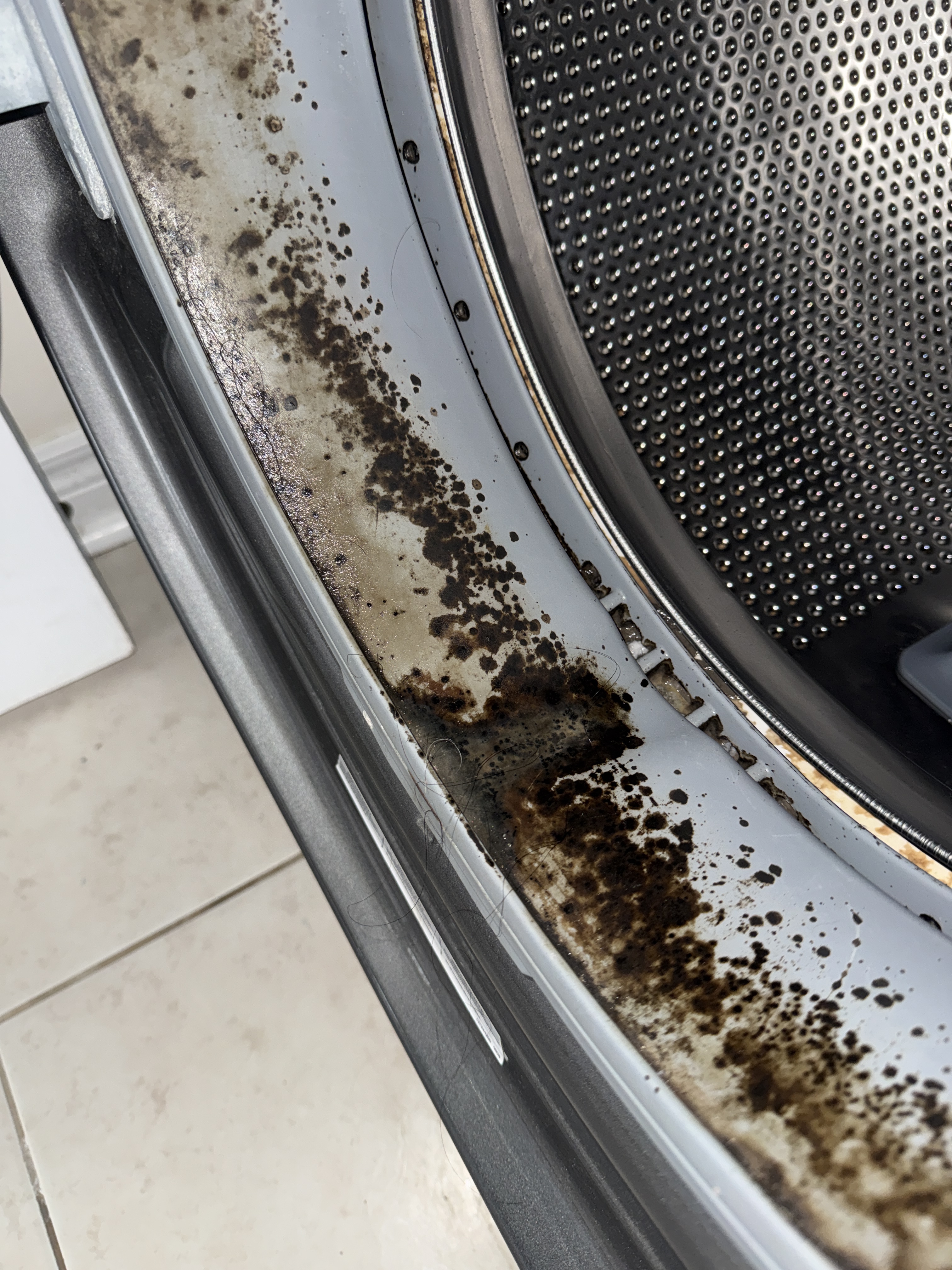 Washer door seal repair